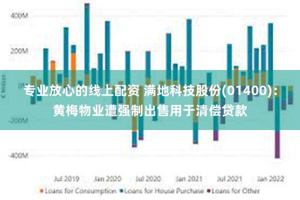 专业放心的线上配资 满地科技股份(01400)：黄梅物业遭强制出售用于清偿贷款