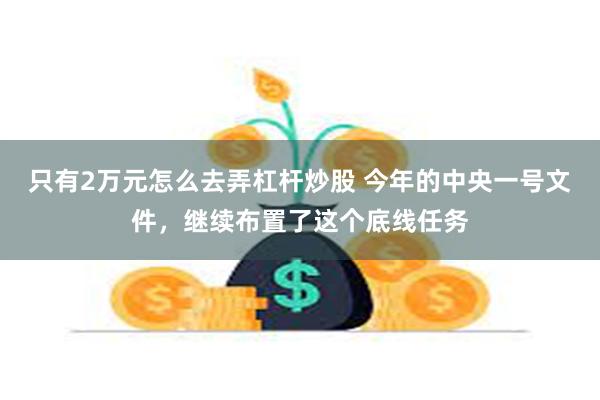 只有2万元怎么去弄杠杆炒股 今年的中央一号文件，继续布置了这个底线任务