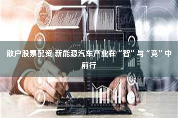 散户股票配资 新能源汽车产业在“智”与“竞”中前行