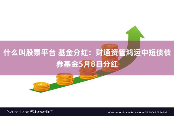 什么叫股票平台 基金分红：财通资管鸿运中短债债券基金5月8日