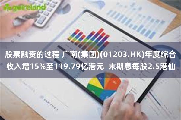 股票融资的过程 广南(集团)(01203.HK)年度综合收入