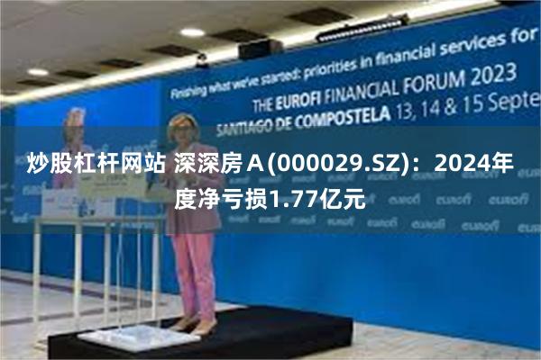 炒股杠杆网站 深深房Ａ(000029.SZ)：2024年度净