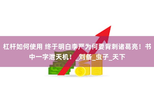 杠杆如何使用 终于明白李严为何要背刺诸葛亮！书中一字泄天机！