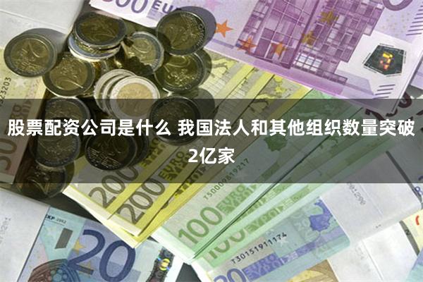 股票配资公司是什么 我国法人和其他组织数量突破2亿家