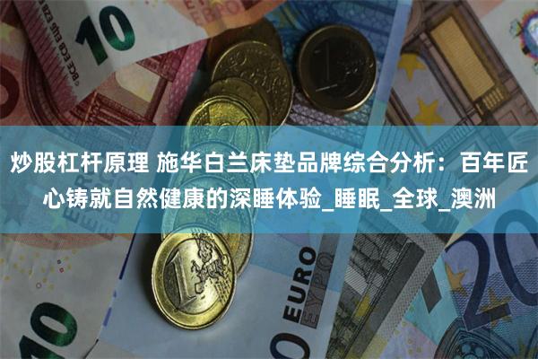 炒股杠杆原理 施华白兰床垫品牌综合分析：百年匠心铸就自然健康