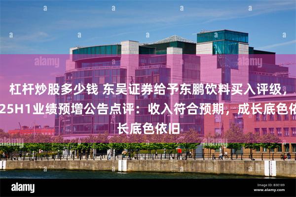 杠杆炒股多少钱 东吴证券给予东鹏饮料买入评级，2025H1业