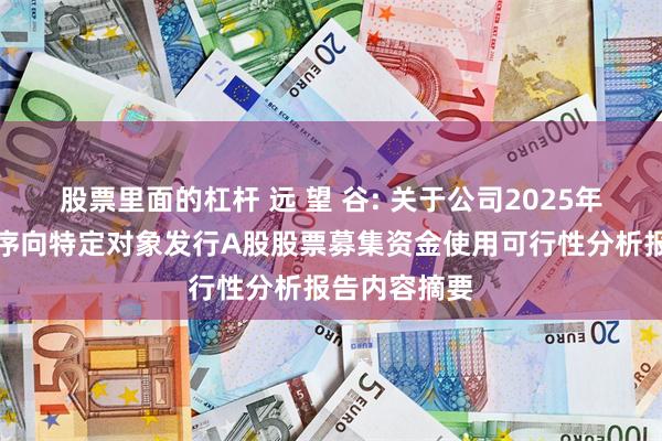 股票里面的杠杆 远 望 谷: 关于公司2025年度以简易程序
