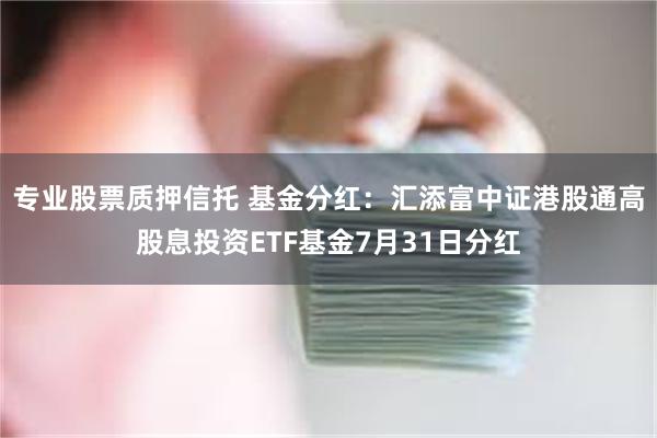 专业股票质押信托 基金分红：汇添富中证港股通高股息投资ETF