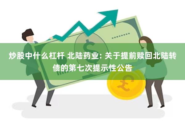 炒股中什么杠杆 北陆药业: 关于提前赎回北陆转债的第七次提示