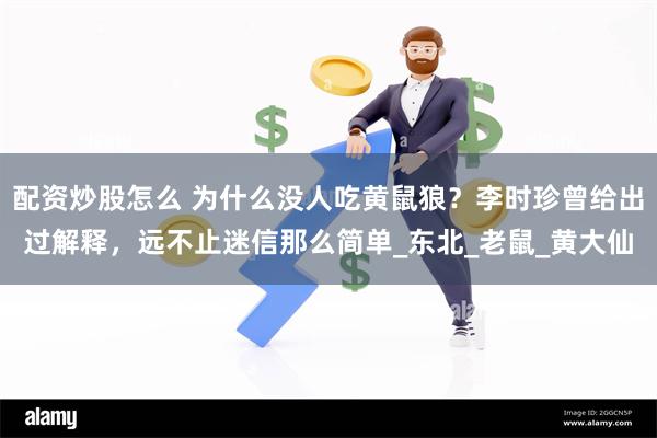 配资炒股怎么 为什么没人吃黄鼠狼？李时珍曾给出过解释，远不止