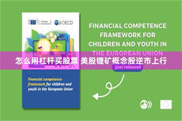 怎么用杠杆买股票 美股锂矿概念股逆市上行