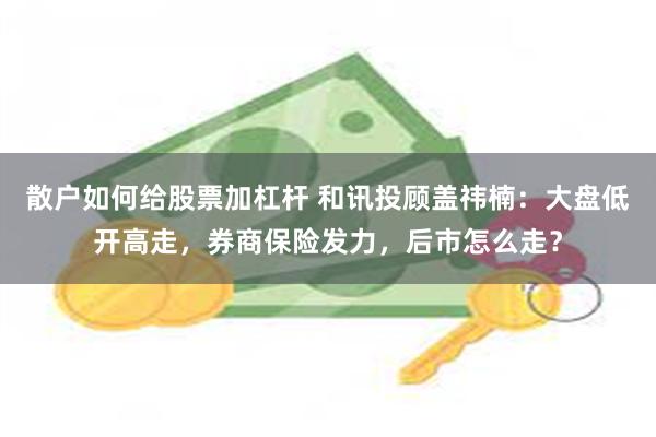 散户如何给股票加杠杆 和讯投顾盖祎楠：大盘低开高走，券商保险